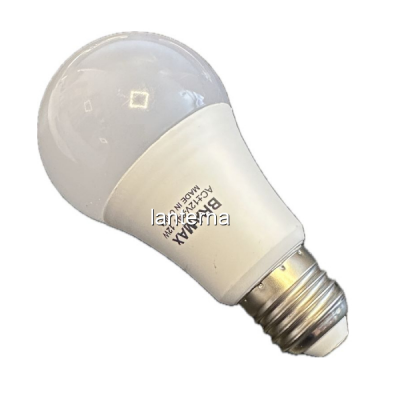 Bec cu LED Bramax A65 12-24V DC E27 12W 6400K D704-12EB MNR5104