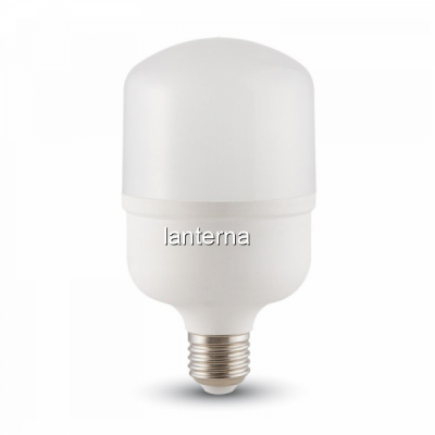 Bec LED MoonLight T80 E27 20W 6400K MNR791