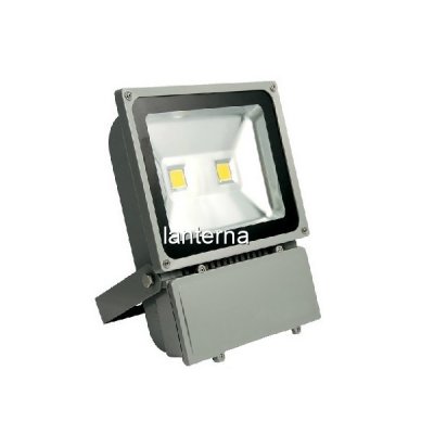 Proiector LED 100W Alb Rece 220V 2x50W