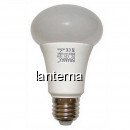 Bec cu LED 12v E27 12W 6400K MNR8312