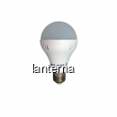 Bec cu LED Economy A80 9W E27 2700K MNR8292
