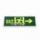 Indicator Luminos Verde EXIT Dreapta LED Acumulator 355x145mm 1Fata WT