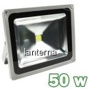 Proiector LED 50W Lumina Calda 220V W&T